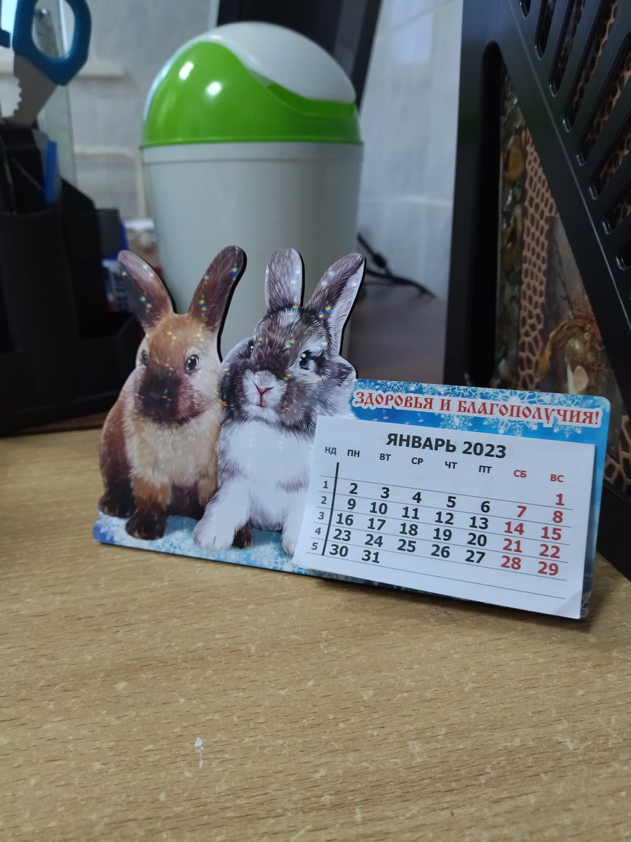 доброе утро, смотрите какие крольчатки украшают мой рабочий стол 🐰