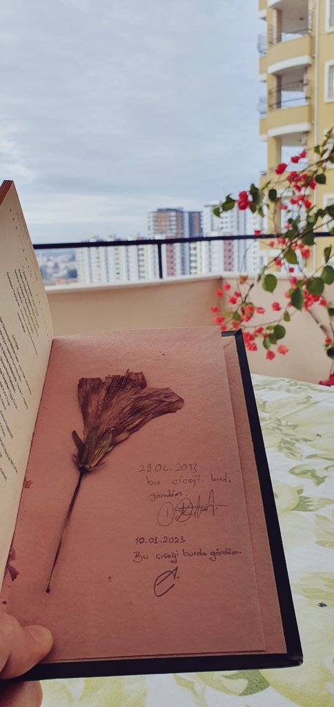 AlperenCerrah's tweet photo. On yıl aradan sonra eserin adına yakışan bir rastlantı.. Devamının gelmesi dileğiyle 🌷😊 https://t.co/7b9cyIXDuv