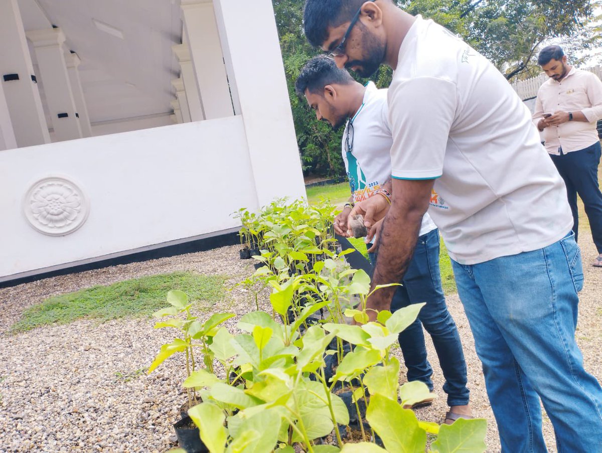 LeoWekanda's tweet photo. මේ සදහා අත්වැල් බැදගත් සියලුමදෙනා හට කොළඹ වෑකන්ද ලියෝ සමාජය වන අපගේ කෘතවේදී ස්තූතිය පුදකර සිටින්නෙමු.
#හරිත_ප්රබෝධය
#LionsClubofColomboWekanda
#LeoClubofColomboWekanda
#306C1Leos #CWLeos🦁💙💛 #theleosofc1 #pridec1 #MD_306
#WeServe #LeosOfSriLanka #lionsclubinternational https://t.co/M6Jh3OAmC0