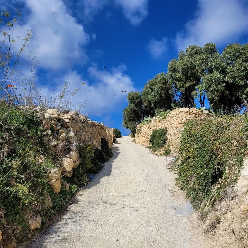 KerryMG's tweet photo. The road is short with no winding turns. It is f'cking steep though.
.
.
.
.
#Malta #lovinmalta #maltaphotography #visitmalta #hiddenmalta #maltacharm #igmalta #maltaismore #maltagram #maltalovers #maltaisland
 #lovemalta #spread_your_arms_wide #lovemalt… https://t.co/TIDrgI6E7L https://t.co/nSVa6pH80W
