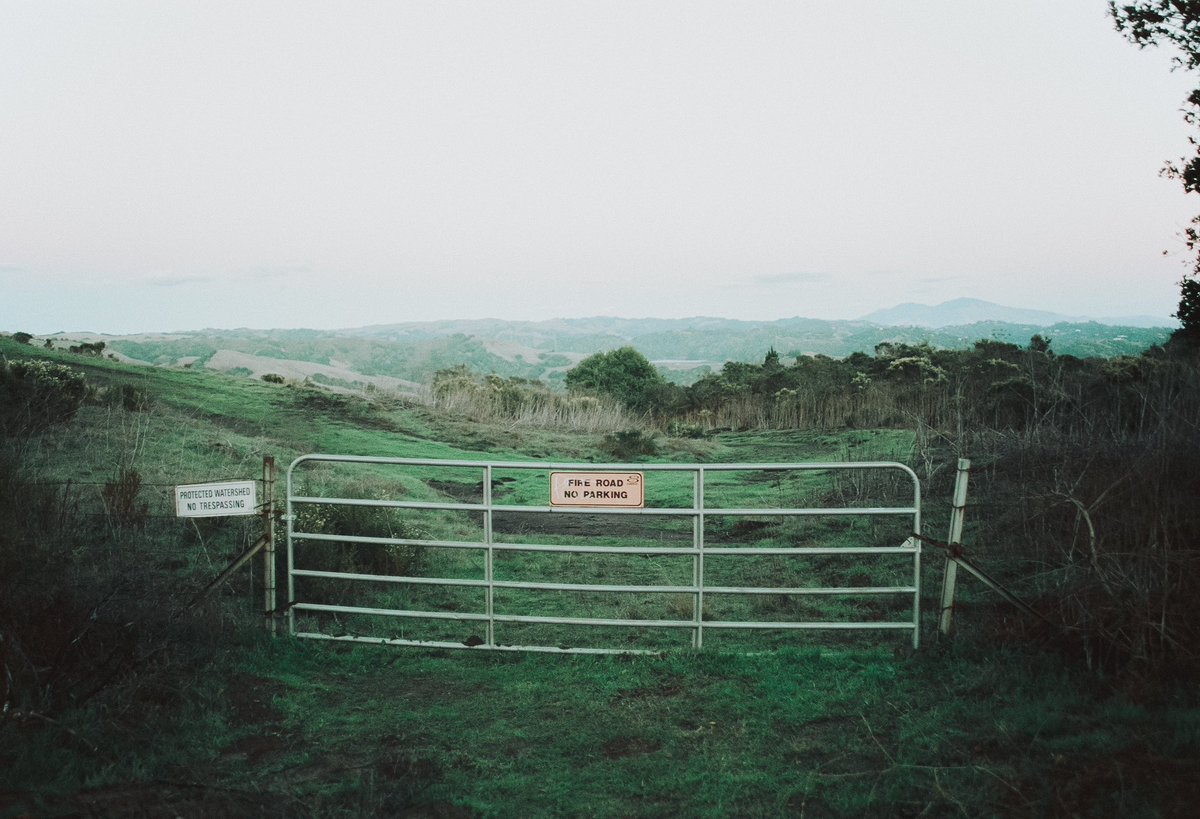 finntbaker's tweet photo. California winter #portra160 https://t.co/dQvF3uKq0O