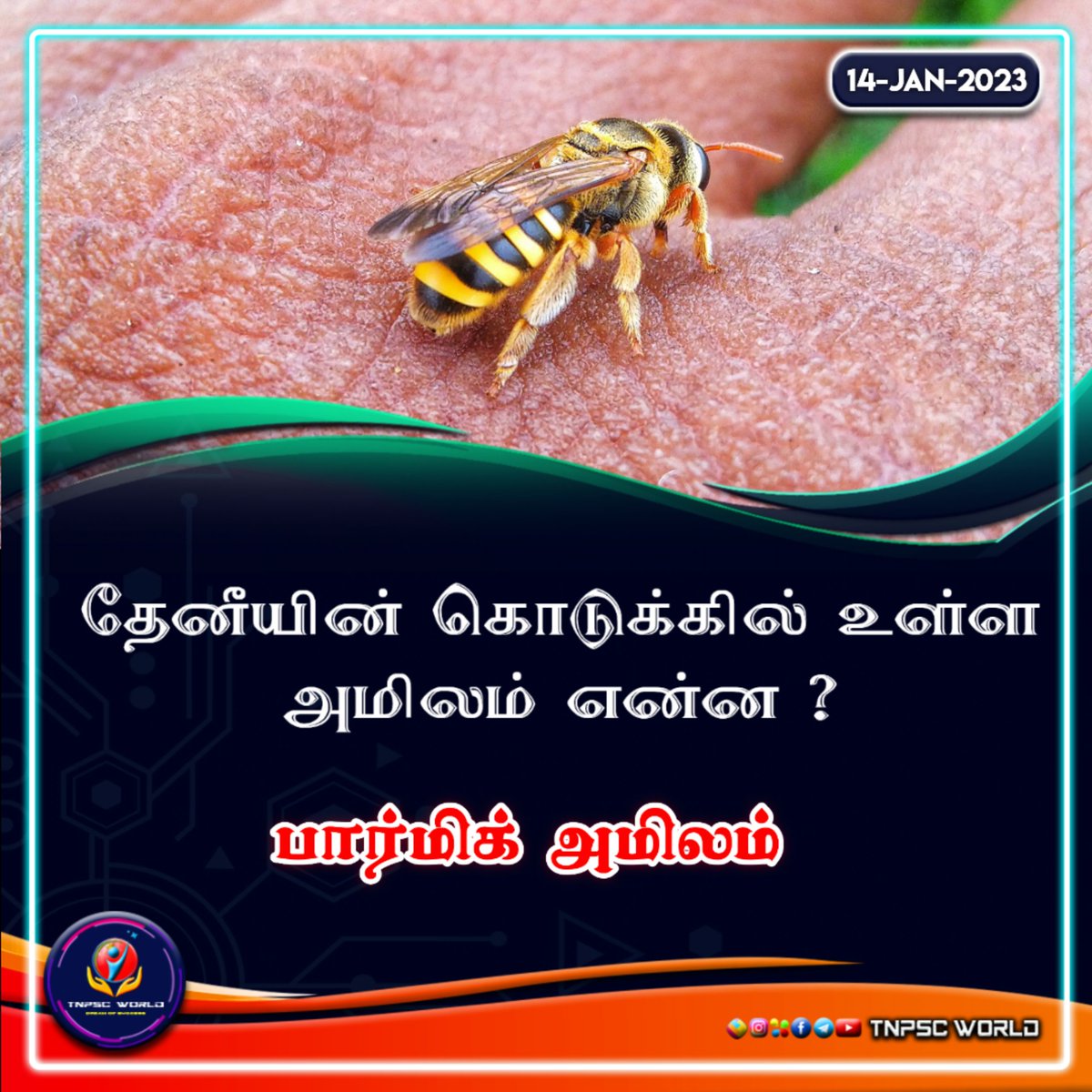 தேனீயின் கொடுக்கில் உள்ள அமிலம் ? 

Follow : @tnpscworld

TNPSC World 
#bee | #honeycombs | #parmicacid | #honeycomb | #honey | #honeybees | #tnpscworld | #TNPSCWorld | #tnpsc_world | #tnpsccurrentaffairs |  #tnpsc2023 | #tnpscmemes | #tnpscgk |#tnpsctamil | #tnpscnotification