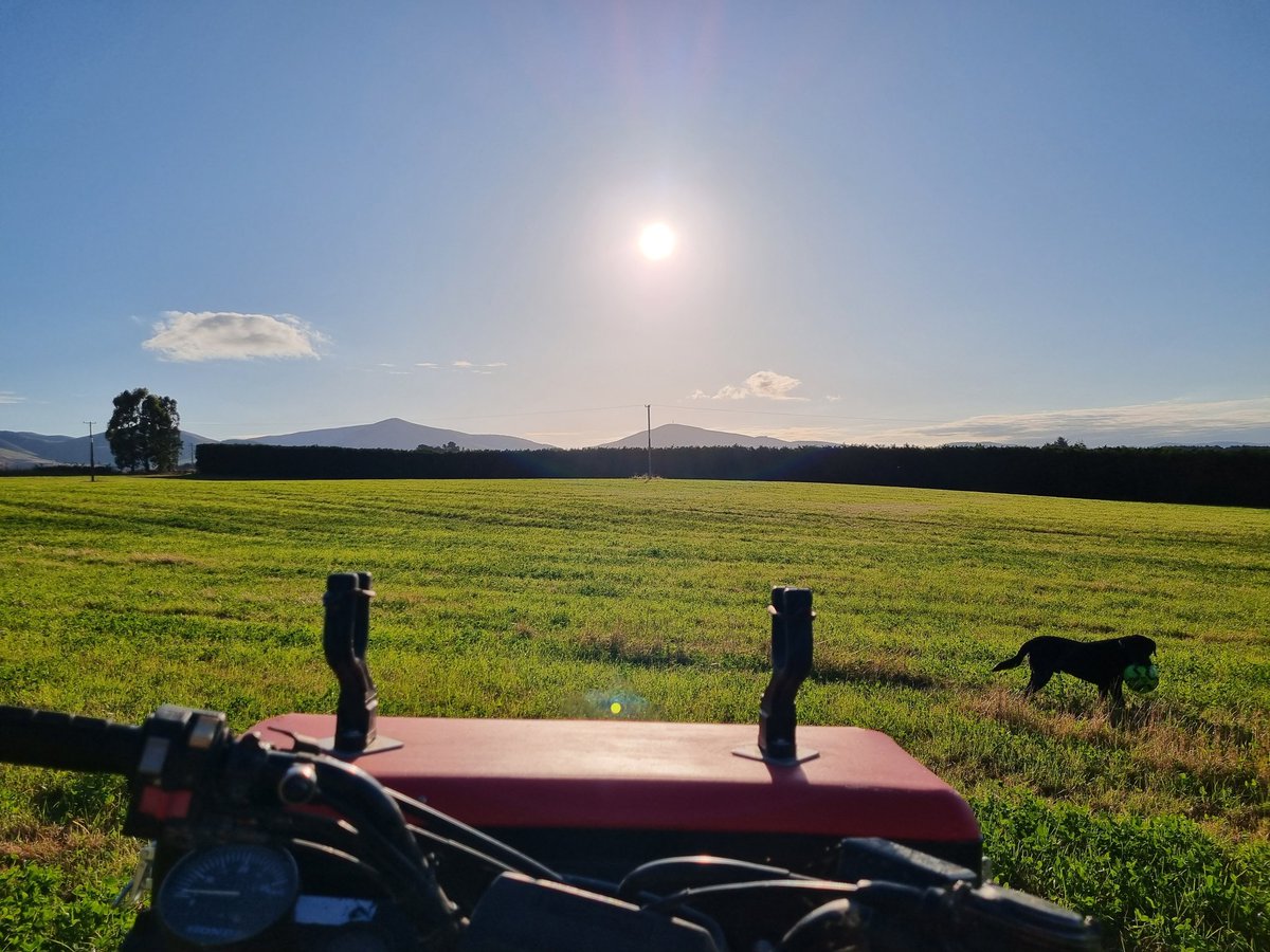 TheCryptographa's tweet image. The backyard 😍