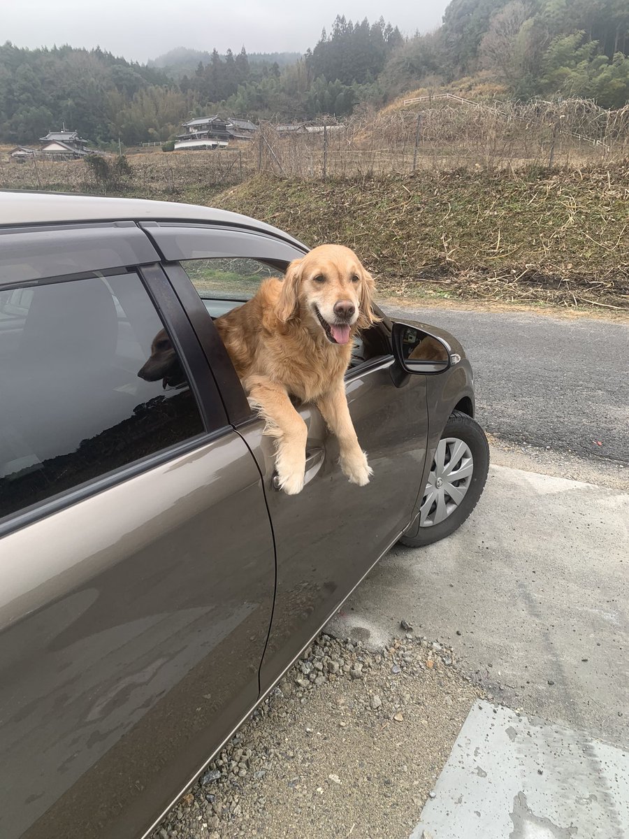 DRIBBLA0828's tweet image. 速報！
Jam MassiveのBrandnew Low Box!!!

明日のダンス、FORWARDから仲間入りです♪

可愛がってやってください◎

#JamMassive
#SoundSystem
#LowBox
#ForwardJapanTour
#DRIBBLA