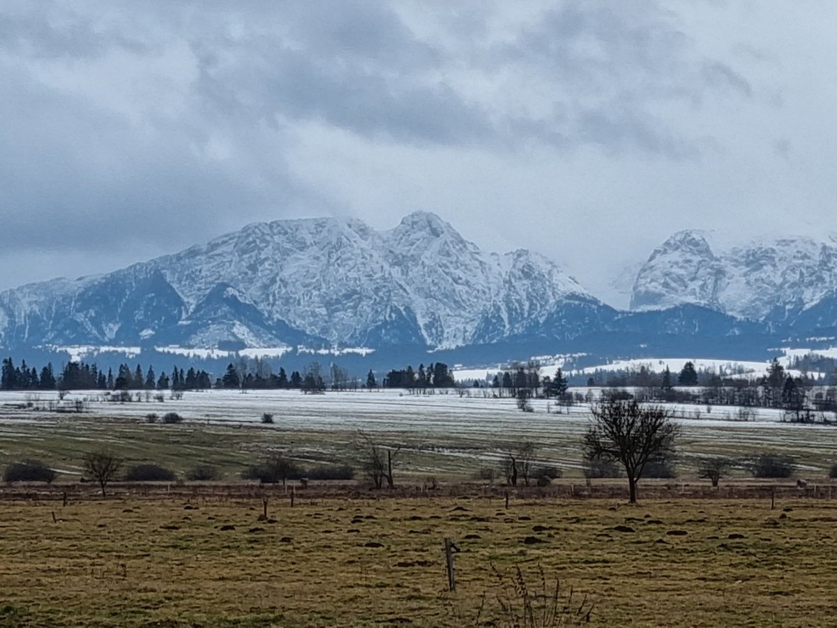 Ardo_94's tweet photo. Dziś zima jest od około 700 m n.p.m. https://t.co/FnQ2OZhzLm