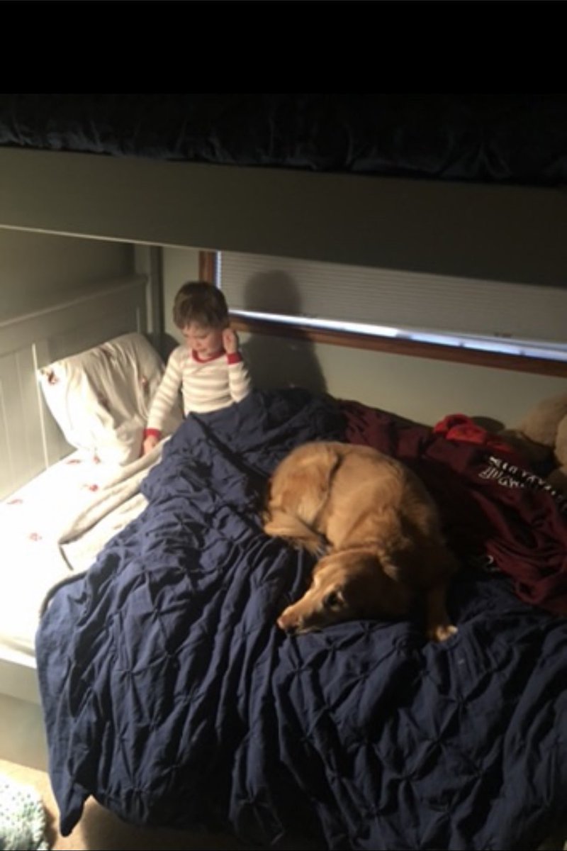 Coach_PaulK's tweet photo. Today was hard saying goodbye to Bo after 12 years. He was always there watching, protecting and loving his family. We ran, golfed, traveled, explored and cuddled. His presence looking back at old photos is amazing, he was always there. Love you buddy, it was a great run! #RIPBo https://t.co/8FqId2aRw1