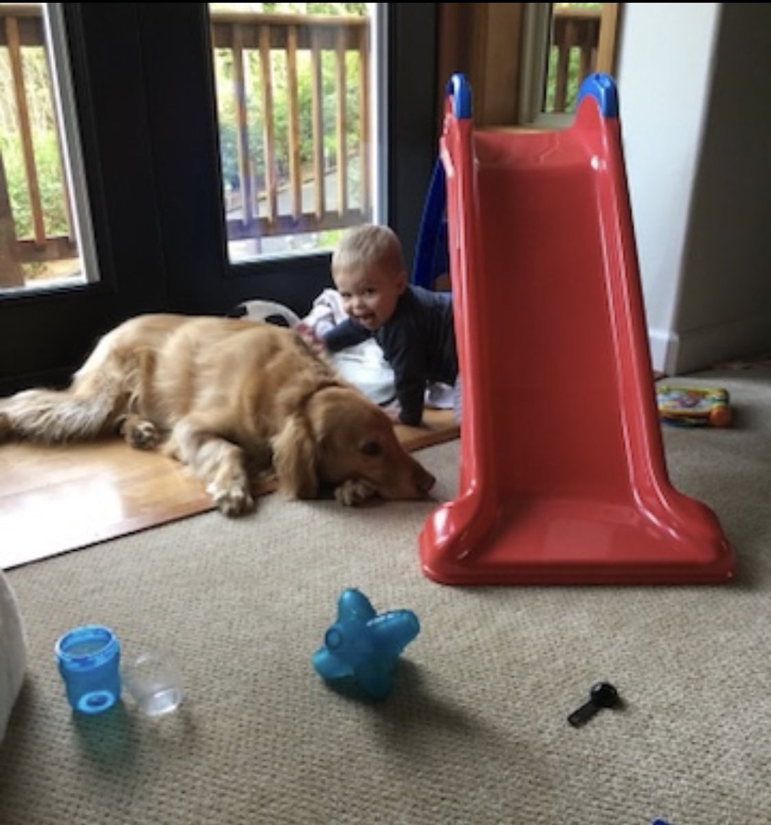 Coach_PaulK's tweet photo. Today was hard saying goodbye to Bo after 12 years. He was always there watching, protecting and loving his family. We ran, golfed, traveled, explored and cuddled. His presence looking back at old photos is amazing, he was always there. Love you buddy, it was a great run! #RIPBo https://t.co/8FqId2aRw1