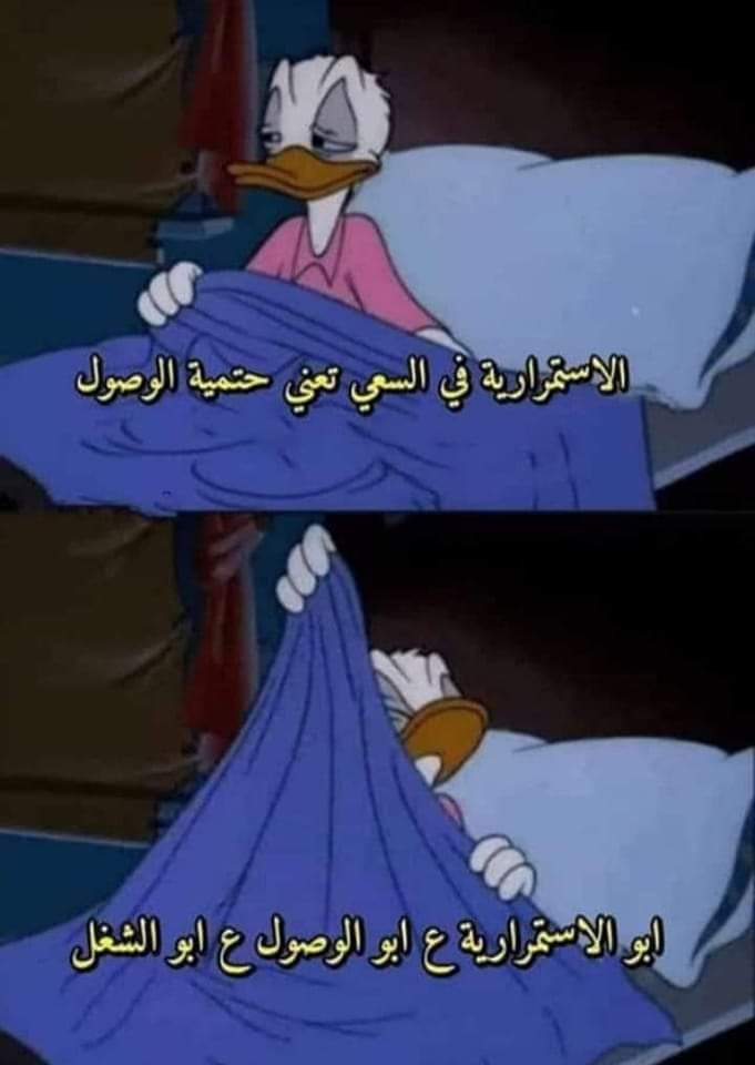 عمر | كود نايس ون AH88 tweet media