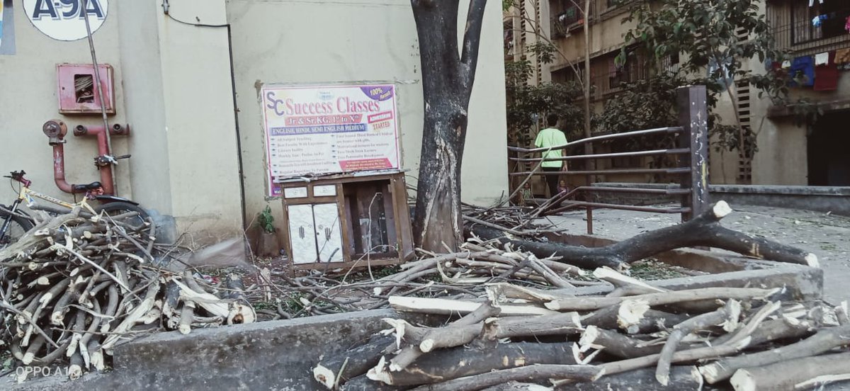 'Stand for the fallen, speak for the silenced: #JusticeForOurTree #ProtectOurTrees #StandWithNature '.We had complained to the @KDMCOfficial but yet the officials are silenced. I request all the concerned dept to take action on the criminal. @swarajya Neptune, Ambivli.