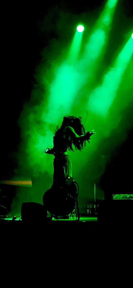 slaywayamas's tweet photo. Undoubtedly the best concert I’ve ever been to. Love you so much @rinasawayama https://t.co/OuMwAaiCJG