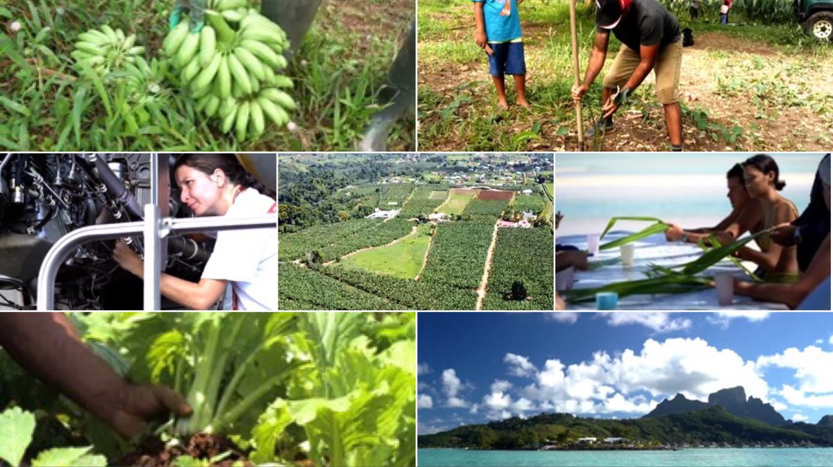 outremers360's tweet image. « Les Innovateurs », une collection de #documentaires pour « montrer ce qui marche » en #Outremer 

➡️Rendez-vous ce dimanche sur notre site pour le premier documentaire de cette série inédite !

➡️bit.ly/3QMnxn5