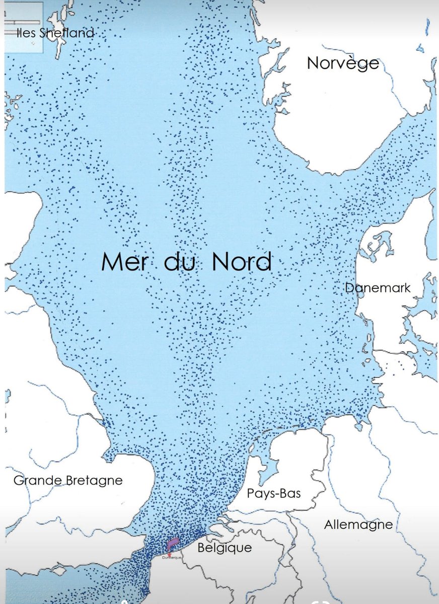 VentDebout59's tweet photo. @M_Orphelin @LPOFrance @OFBiodiversite Que faites-vous contre le projet des éoliennes en mer de #Dunkerque au cœur des zones #Natura2000 des Bancs de Flandre, et de l'entonnoir migratoire d'Europe du #Nord ?
#ProtegeonsNotreLittoral #LesDDF #Gazoliennes #Ecocide https://t.co/ZDmUOk8Ocf