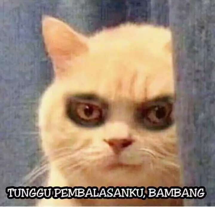 Gibran Rakabuming tweet media
