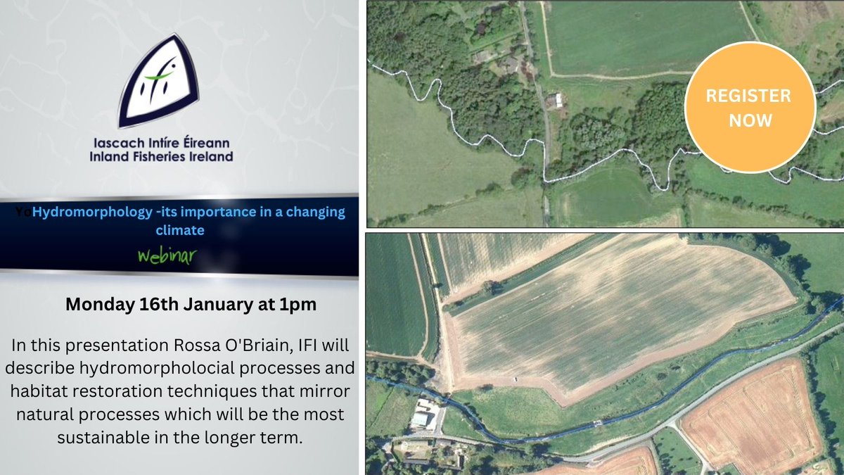 Inland Fisheries Ireland tweet media