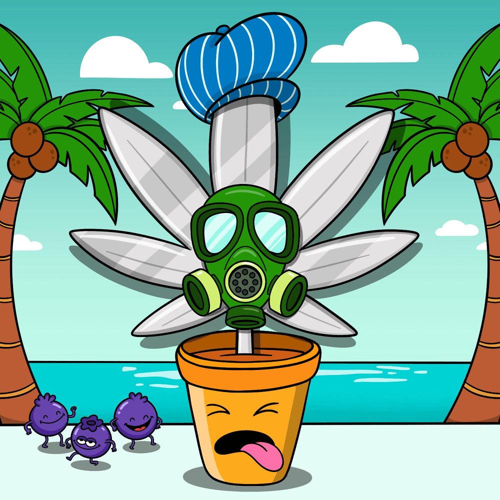 Redeye- $BUBBLE tweet media