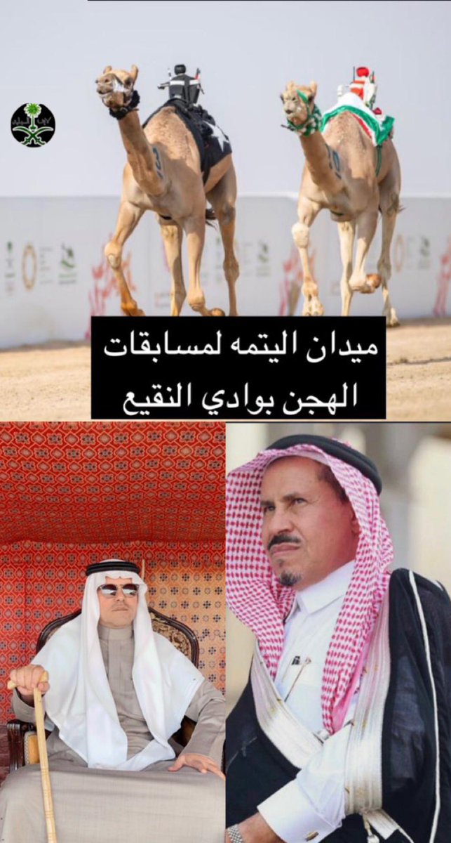 فعاليات مهرجان اليتمة tweet media