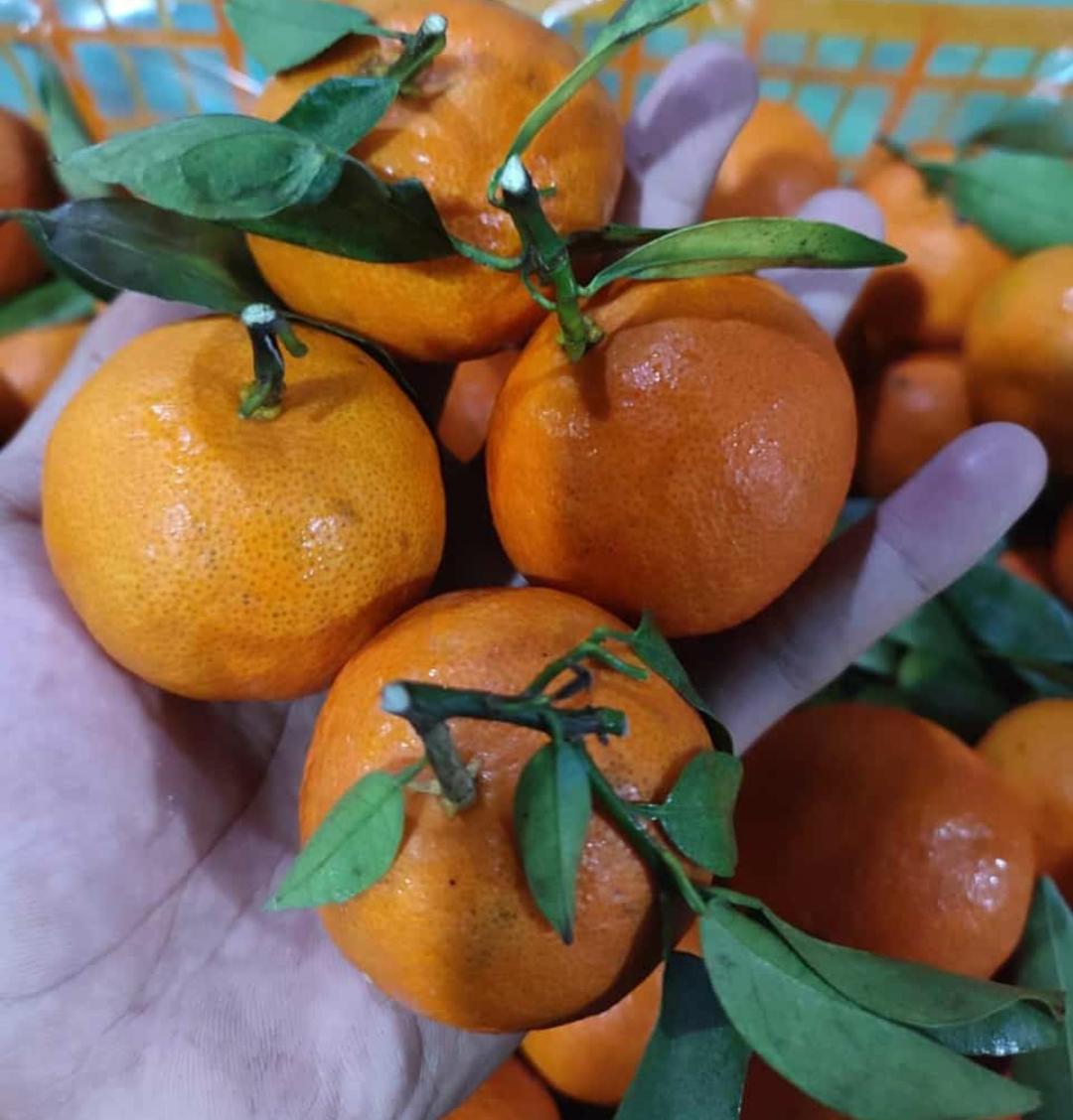 FruitDay tweet media