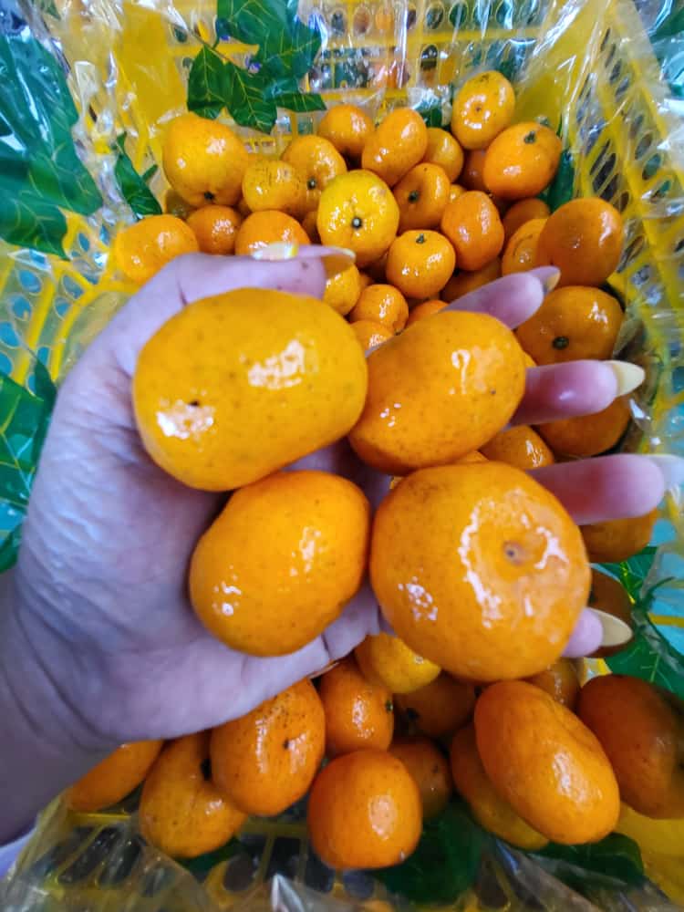 FruitDay tweet media
