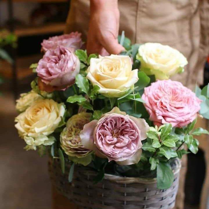 Mutlu huzurlu hafta sonları 🙏☕
Günaydınlar💙🌹☕
