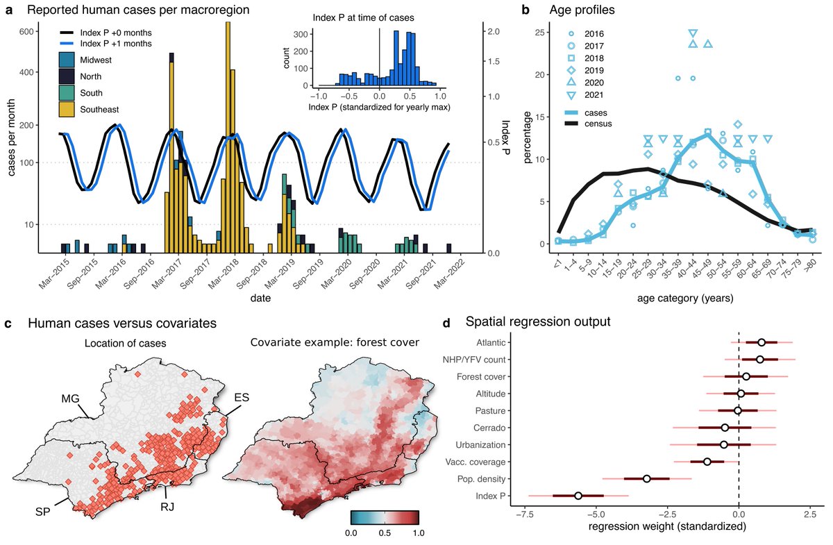 Marta Giovanetti tweet media