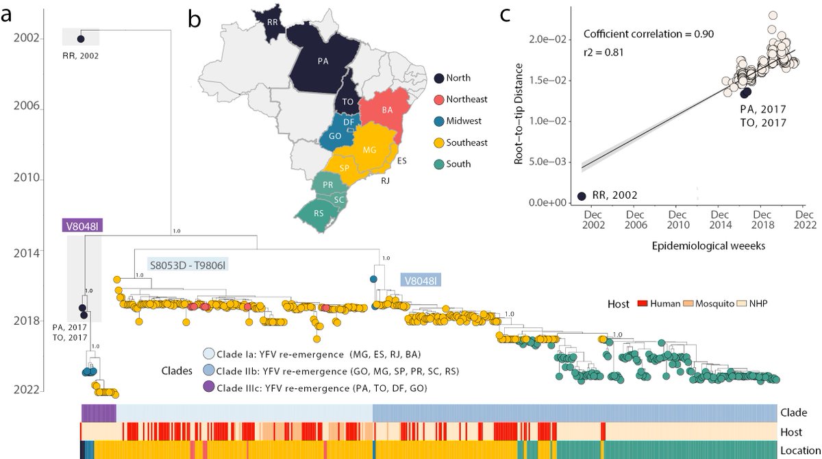 Marta Giovanetti tweet media