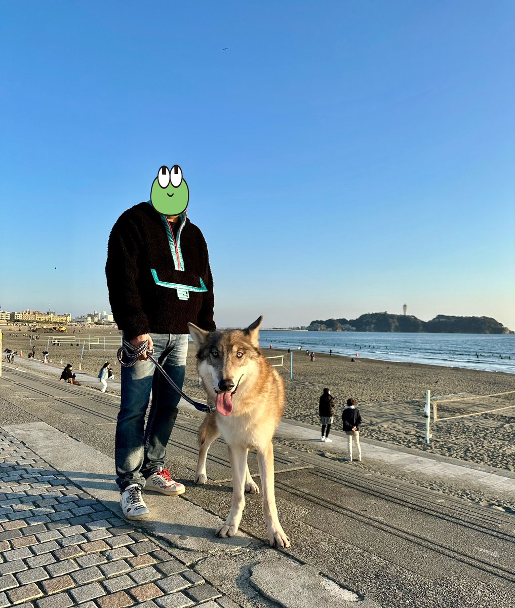 wolfkai1214's tweet photo. パパ散歩👨🐕
#日常の風景　#海と海 https://t.co/7f5iaiu7jT