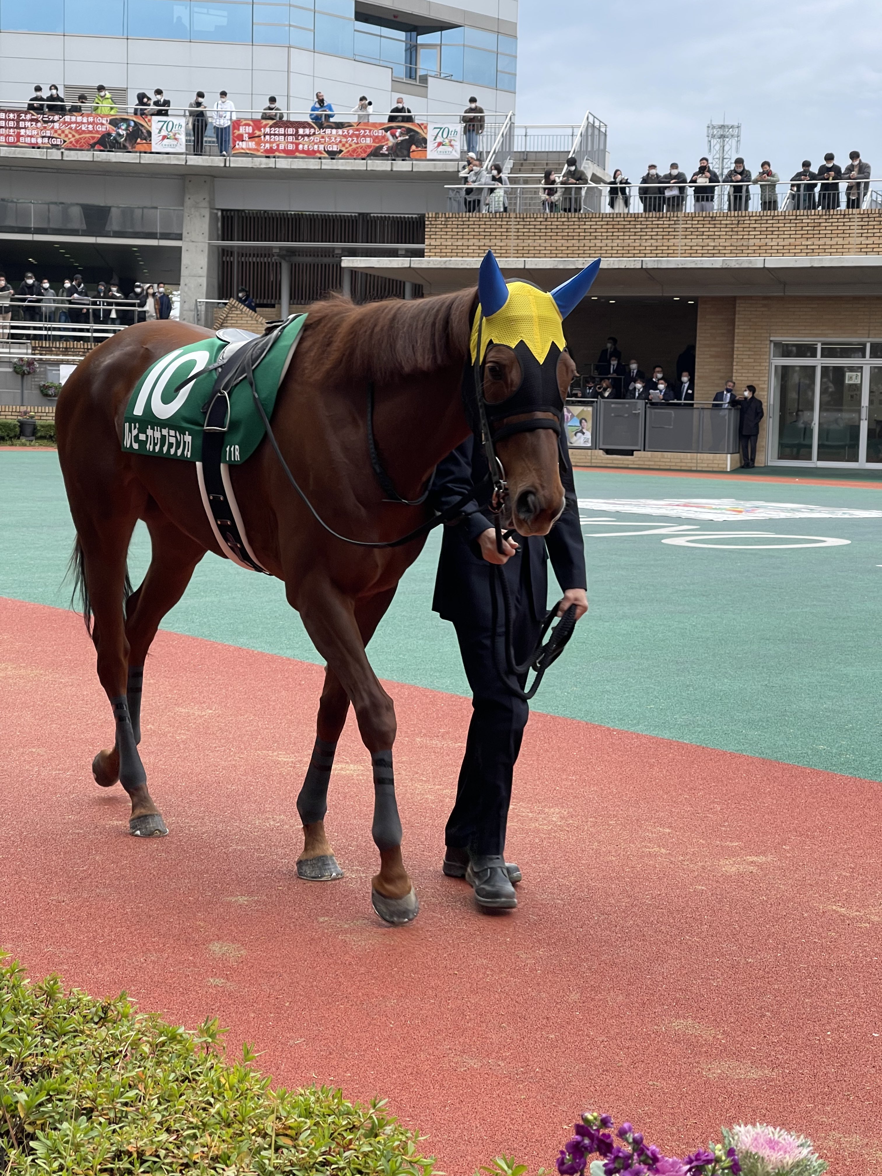 Tweets With Replies By たけもpiは痩せる Mochimoccccchie Twitter