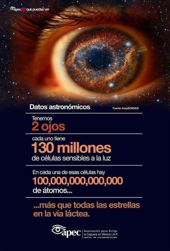 optometristasen's tweet image. 