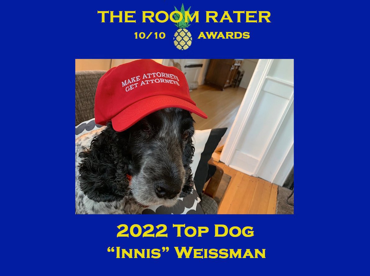 ratemyskyperoom's tweet photo. Taking another look at 10/10 @AWeissmann_ Loft From Heaven. We appreciate the discussion with @AliVelshi re the stairs and about Innis who is definitely a dog.. English Cocker Spaniel to be specific. Nice hat. https://t.co/7C3dhofCUW https://t.co/uX0DU4WMfA