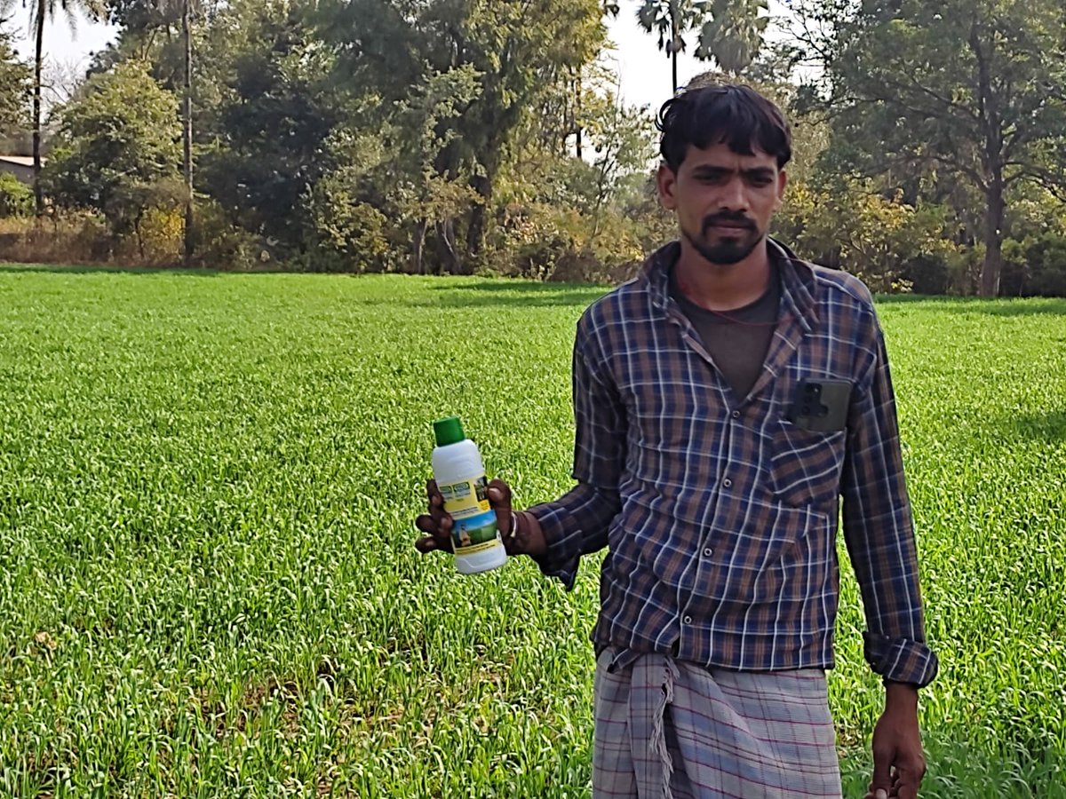 AlirajpurFarmer's tweet photo. आलीराजपुर फार्मर प्रोड्यूसर कंपनी लिमिटेड के निदेशक राकेश पटेल ने नेनो यूरिया के बारे में बताया ओर किसानो को नेनो यूरिया (ग्राम भानारावत) में घर घर जाकर किसानो को बताया को दिया।
@CSCeAgri
@CSCMadhyPradesh
#CSCFpo
#Iffco
#CSCAGRICULTURE https://t.co/dW8YT96NDK
