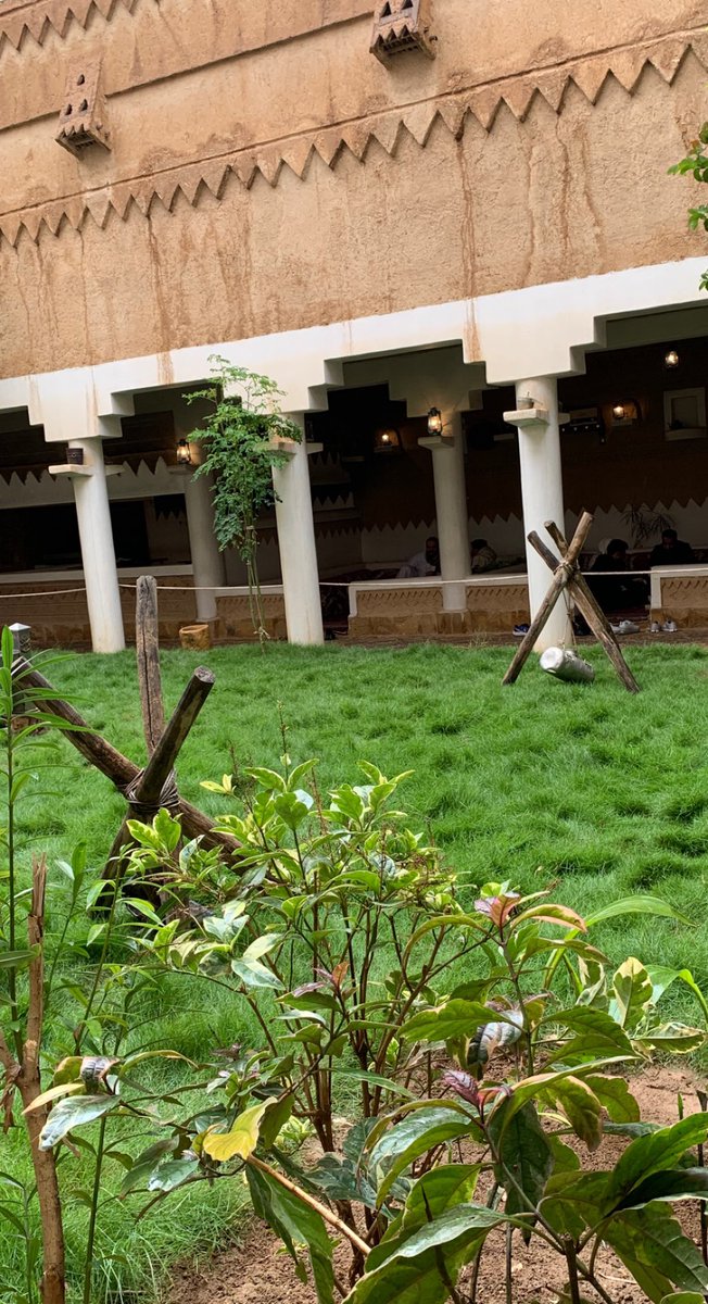 عشوائيات الظهر🤍🤍