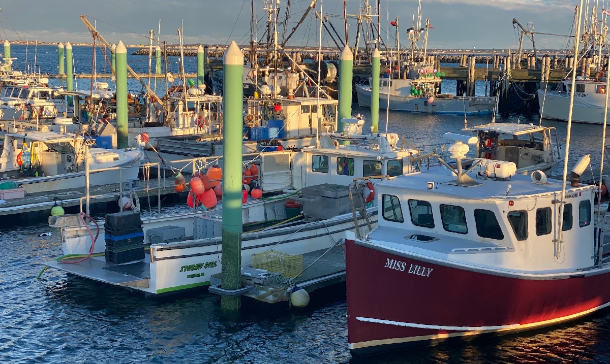 FishAlliance's tweet photo. Commercial fishing never stops! The Ptown pier is full of commercial vessels even in the coldest months of the year.
#fishalliance #commercialfishing #sandwich #workingwaterfronts https://t.co/AftLnudxCY