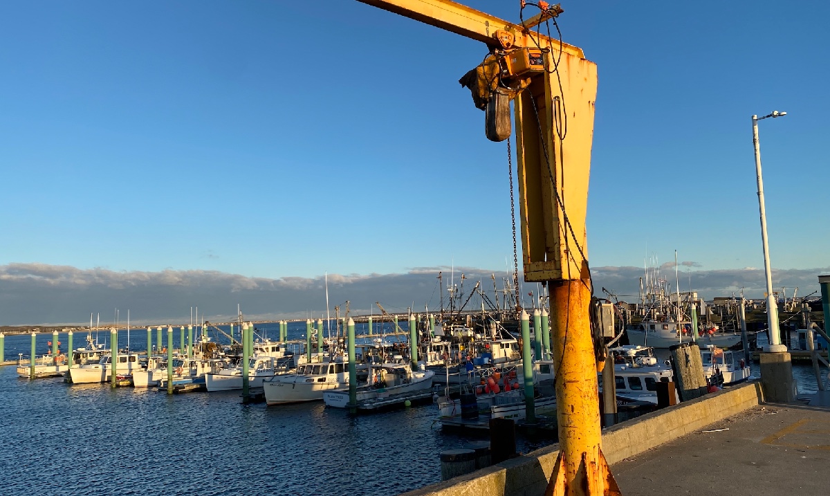FishAlliance's tweet photo. Commercial fishing never stops! The Ptown pier is full of commercial vessels even in the coldest months of the year.
#fishalliance #commercialfishing #sandwich #workingwaterfronts https://t.co/AftLnudxCY