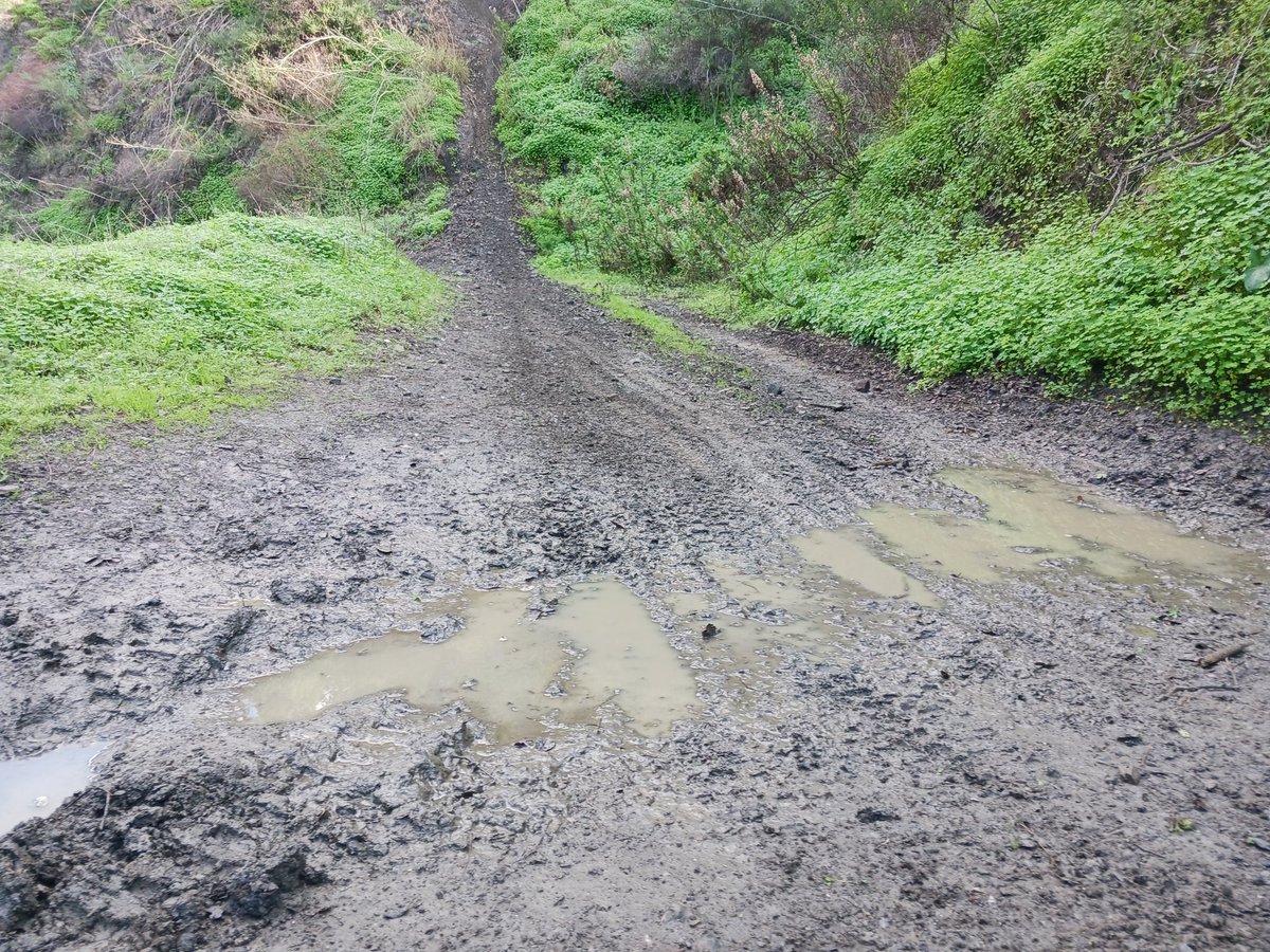 TrailAndalucia's tweet photo. Hoy he llevado a su primer paseo a la @Salomon_Spain #SpeedCross 6¡¡¡ que les gusta un charco!!!.  En este terreno húmedo, con barro y descompuesto están en su salsa. https://t.co/A7gLboc5KM