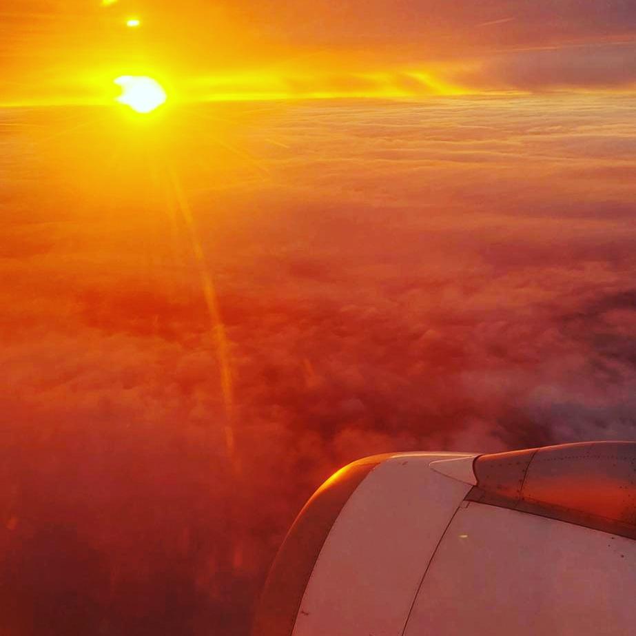 jcunniet's tweet image. I really wonder what needs to be improved first : The offline @twitter user experience or having wifi onboard all planes via @starlink ? #TwitterUX