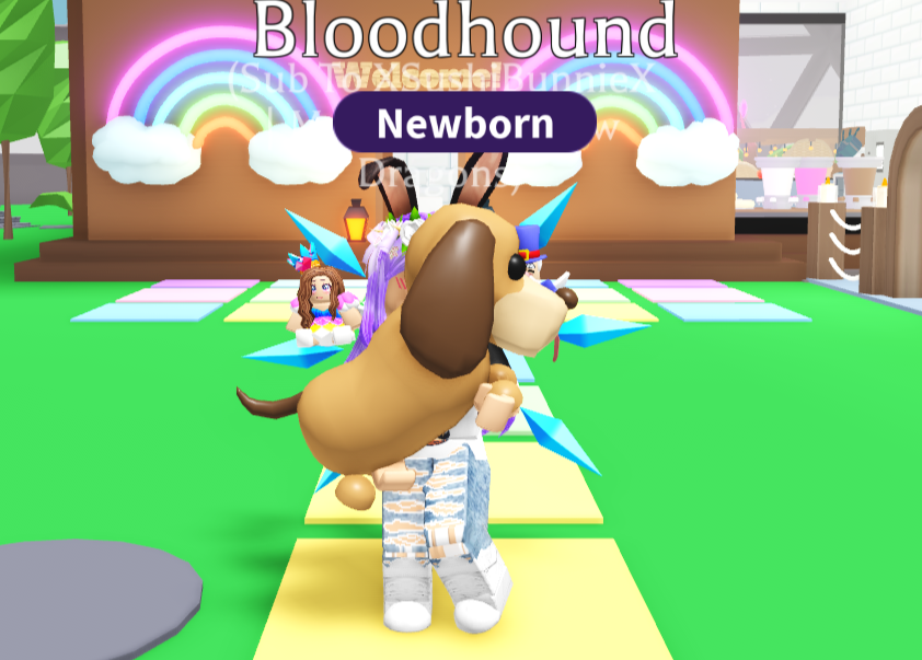 Adopt Me Giveaway! 3 Winners!

How to Join:

❤️Follow Me!❤️
-
🧡Like this Post!🧡
-
💛Retweet this Post!💛
-
💚Tag a Friend! (Or Me)💚
-
💙Comment "Done!"!💙
-
💜Congrats! You're in! Good luck to all my loyal followers!💜

Giveaway Ends on Sunday, Jan. 15th, 5pm EST

GOOD LUCK!❤️