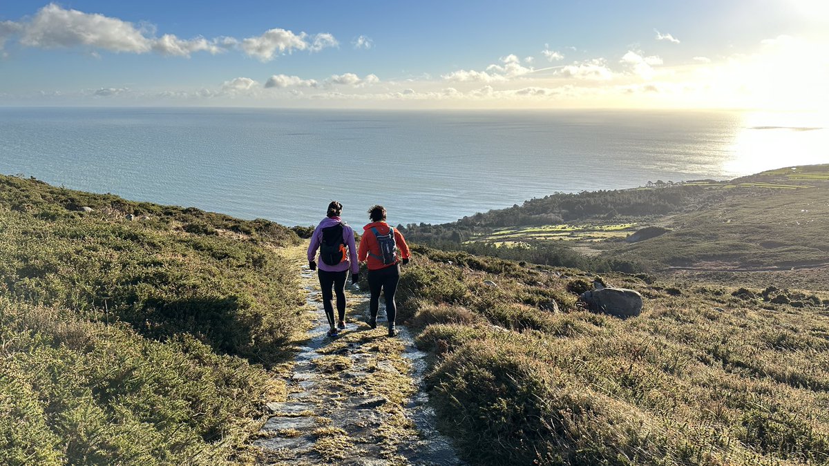 Steven morgan tweet media