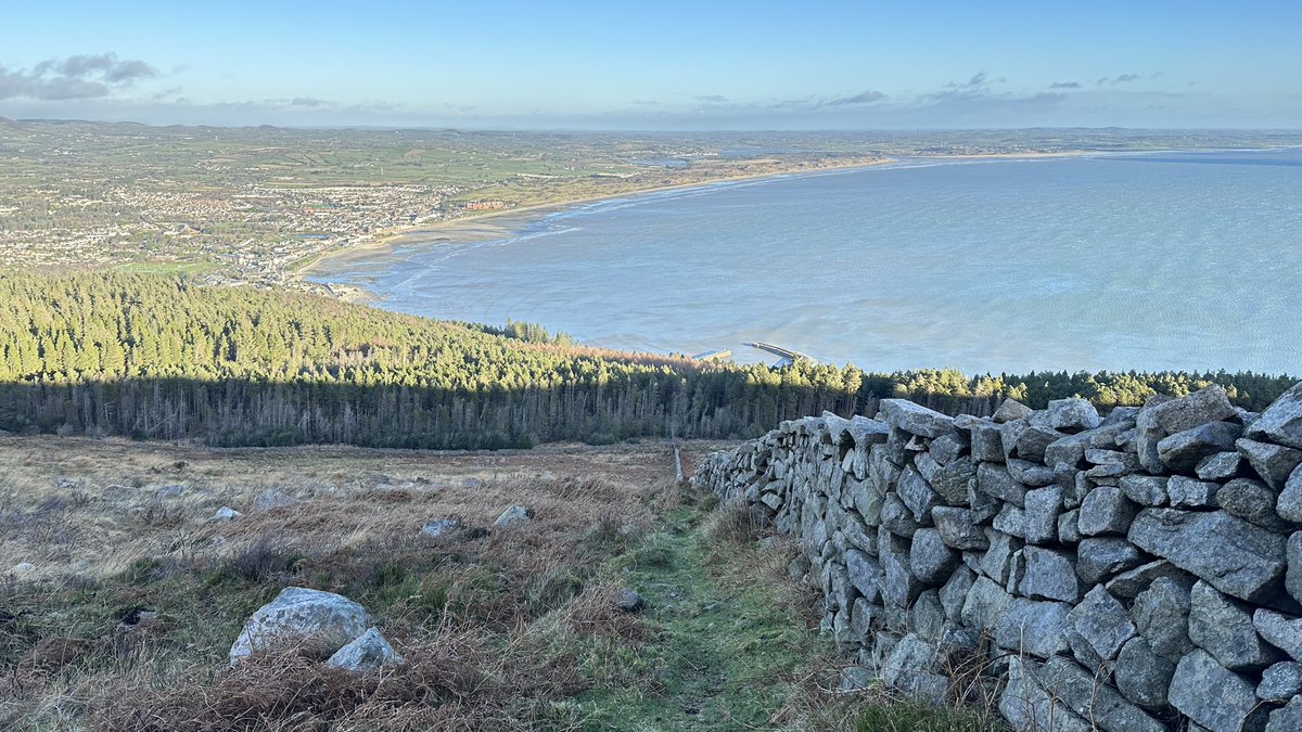 Steven morgan tweet media