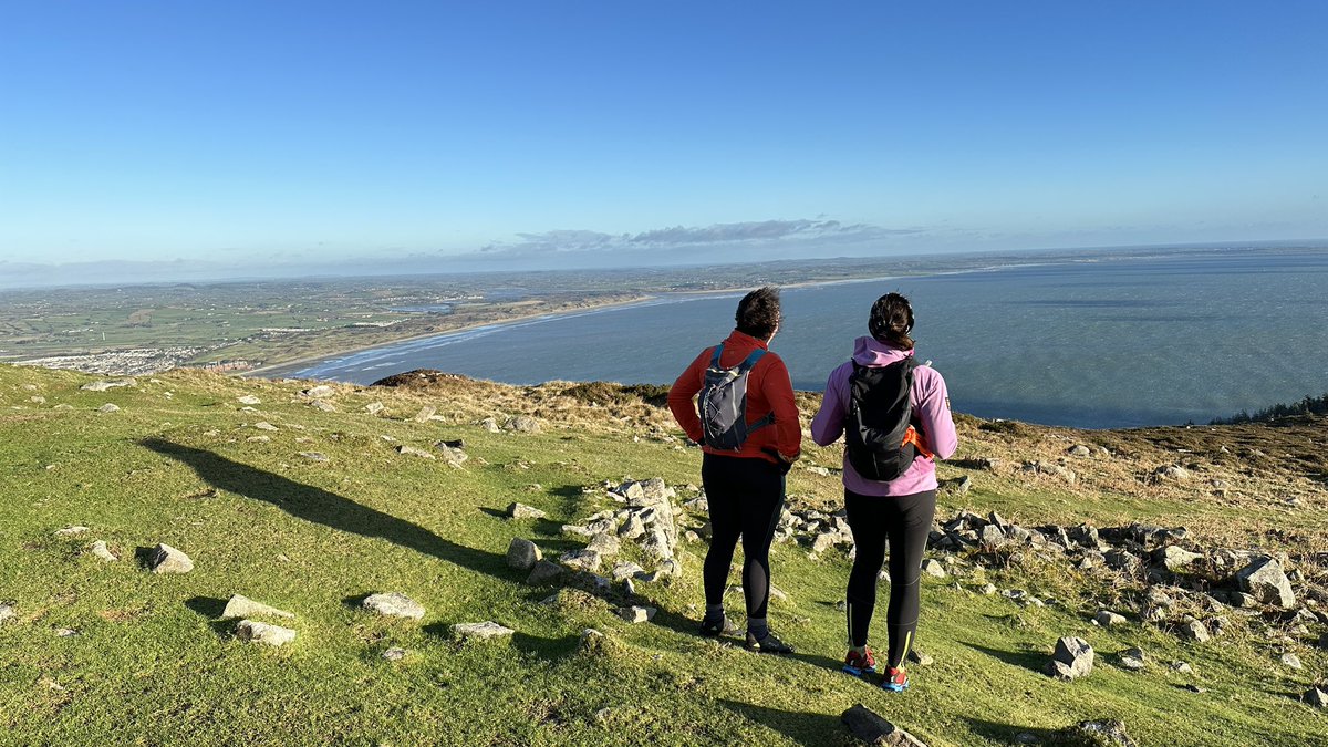 Steven morgan tweet media