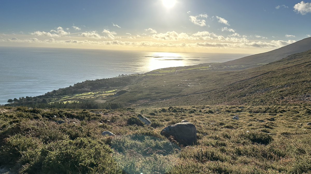 Steven morgan tweet media