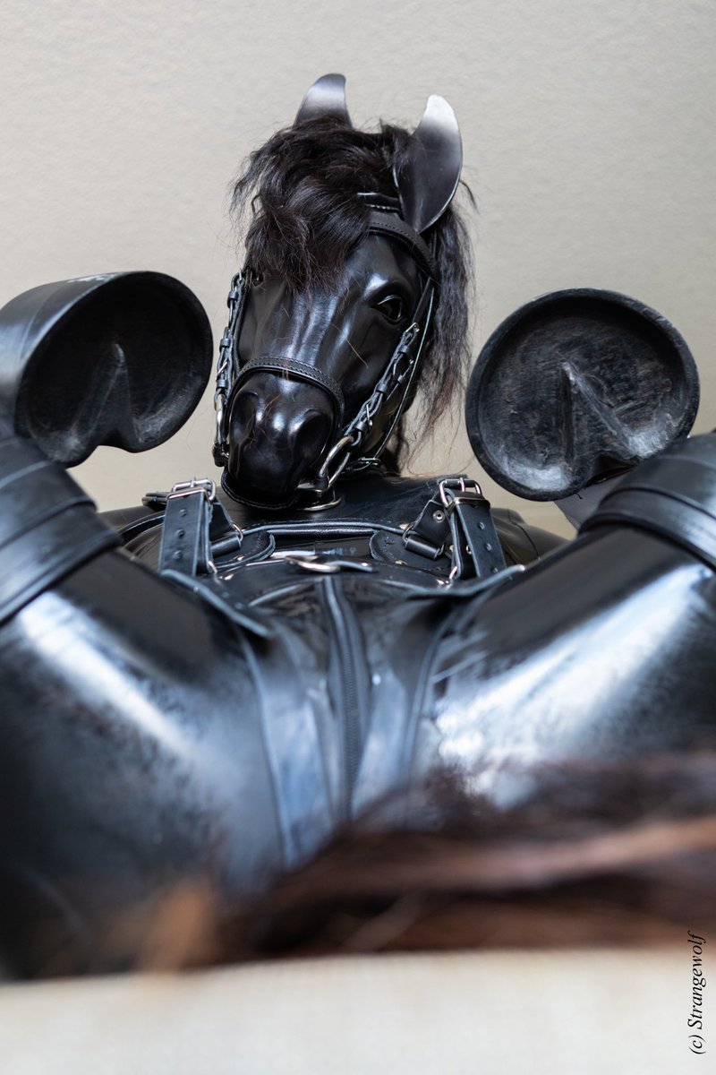 Don’t be so shy! Come closer! 
#ponyplay #rubberhorse #rubberpony #humanpony