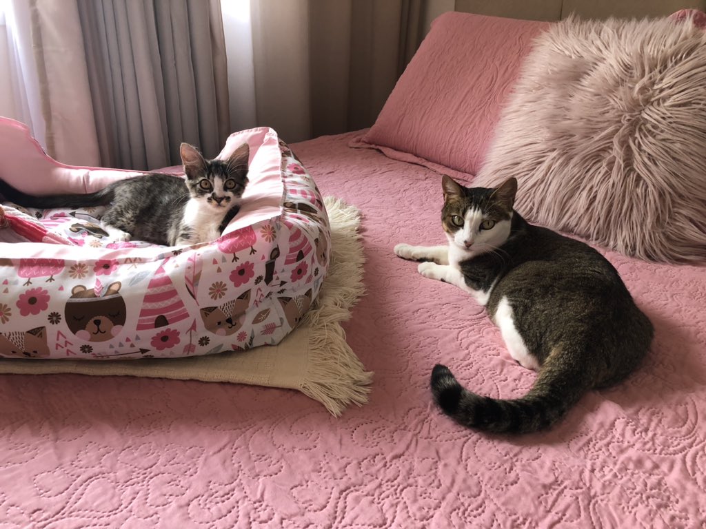soumvasconcelos's tweet photo. 🥹
Big sister https://t.co/mbnUusjA6q