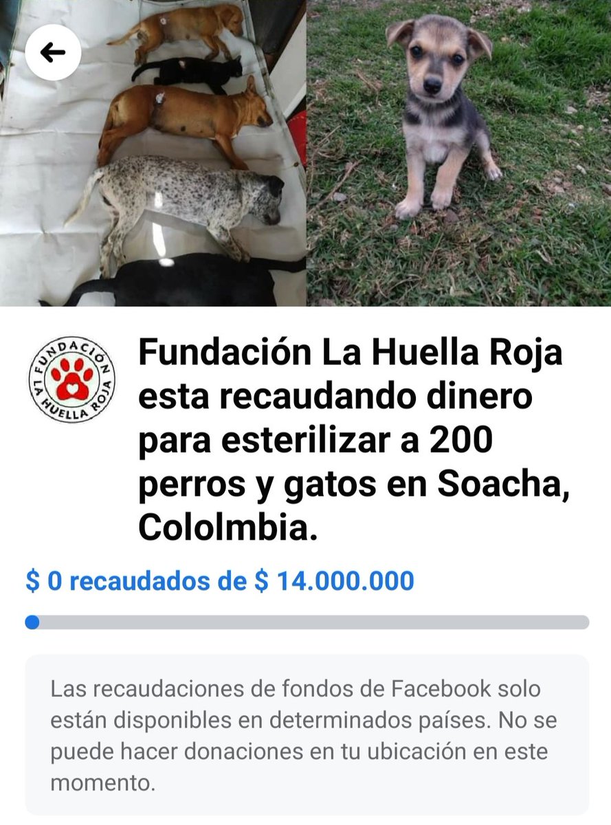 Eléctricos, hidrógeno, híbridos: ¿qué tipos de autos son los más  sustentables? -, image size:889x1200