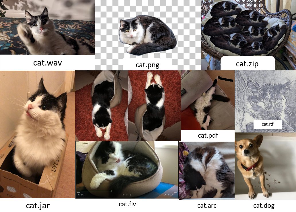 PenwernCurate's tweet photo. To celebrate  3 days until our launch we would like to remind you to Curate your CAT files. For when you want to preserve your cats memory but not in the Egyptian way.

#Countdown #3days #DigitalPreservation #DigiPres #Filetypes #DigitalFiles #Cats #CatsOfTwitter https://t.co/VcOT1Rrc8m