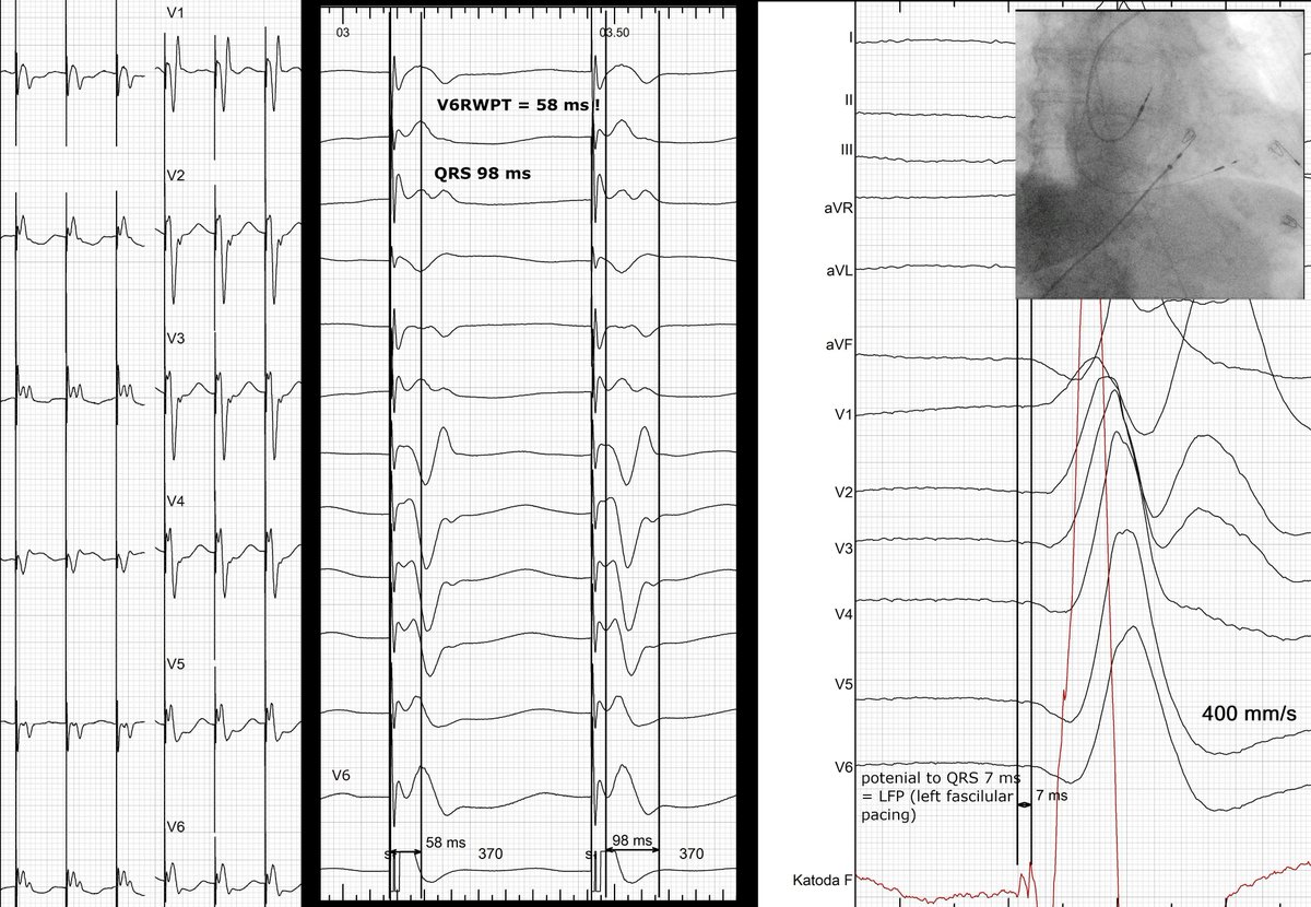 Marek Jastrzębski tweet media