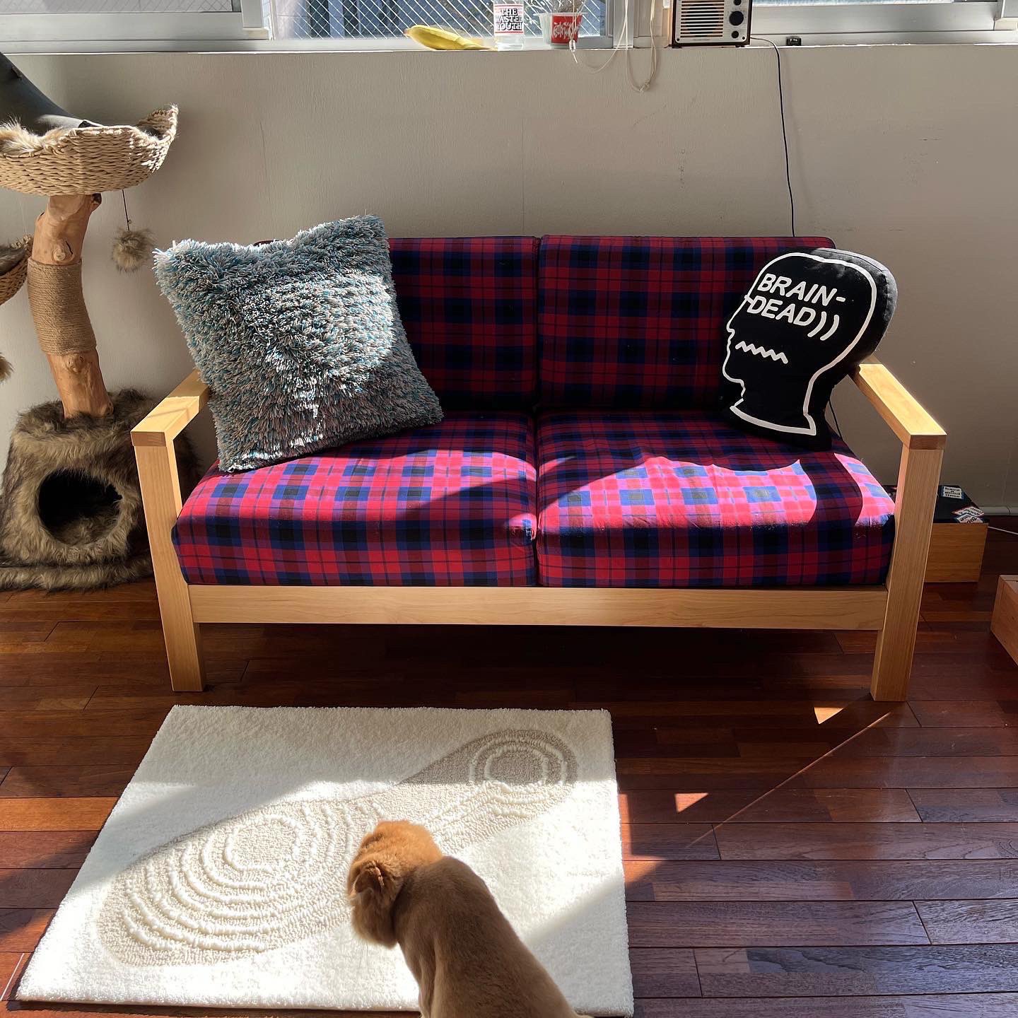 親子ネコRUG ６０x８０cm noko tatoo gakkin 親子ネコRUG 60×80cm noko tattoo gakkin 【公式通販】