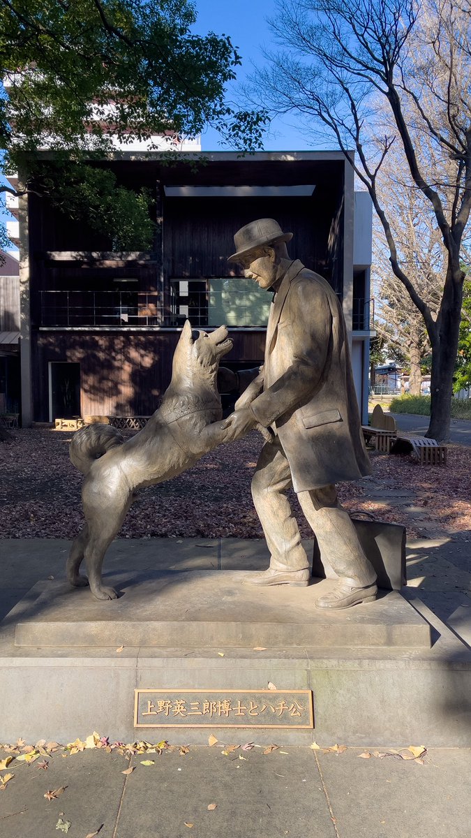 OmiyageBox's tweet photo. Pour mon Omiyage Box de février (commandes jusqu’au 20 janvier inclus) je vais t’emmener chez Hachiko.

Chaque formule de box (sauf formule Ramen) aura au moins 1 produit Hachiko

Lien dans le Tweet suivant https://t.co/jTurPmsAim