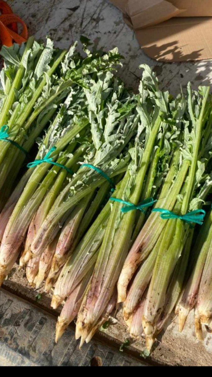 angelherrerasa3's tweet image. #Producimos hortalizas dedicación,pasión,esfuerzo.garantizamos productos calidad a lo largo confección,recolección y distribución.innovación tecnología vanguardia y tradición nuestros procesos dan lugar a productos q mantienen carácter y propiedades naturales durante generaciones