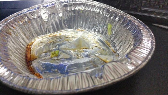 鍋に穴あいとるやんけ!!(具を移した) 