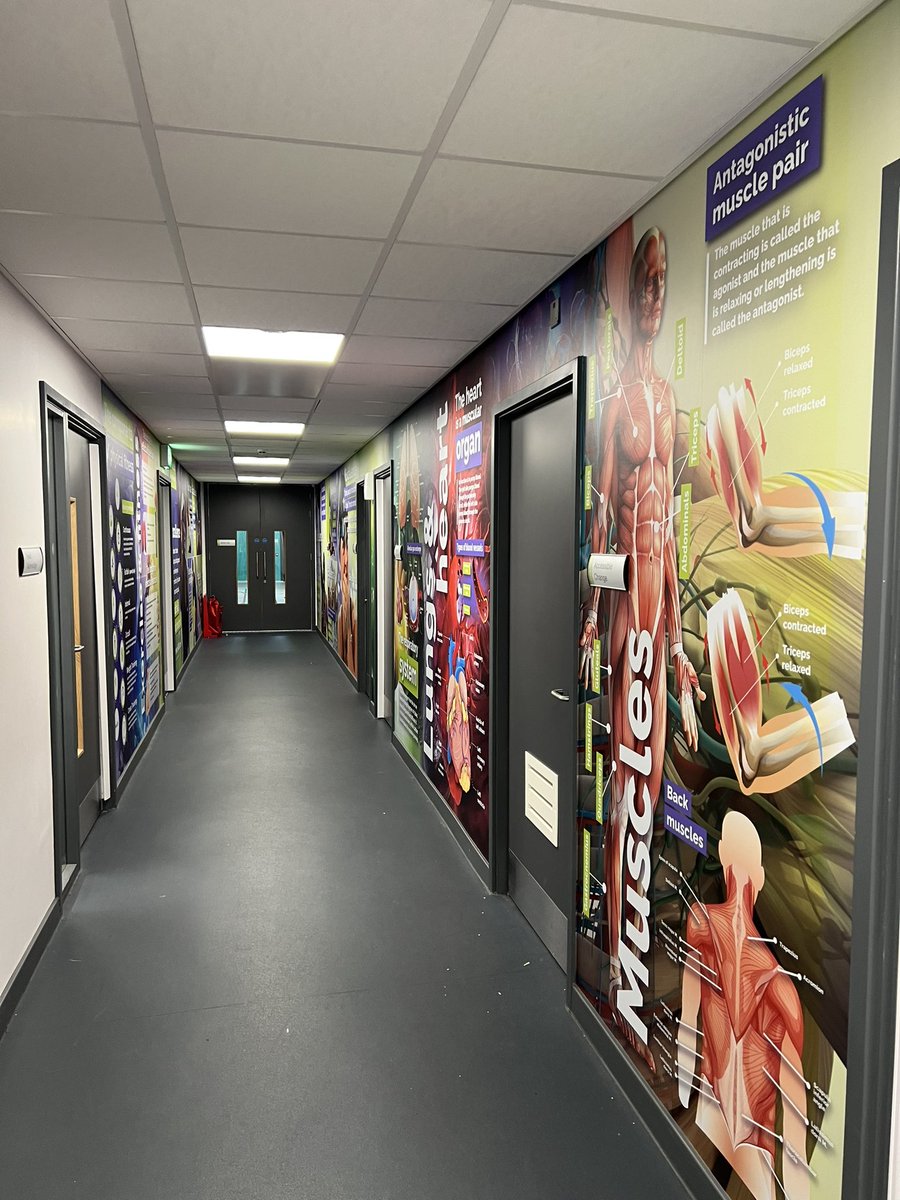 MissEThomas_11's tweet photo. Before vs After in our PE Department🤩 Bringing learning to life! @PAHS_PACT @thePA_CT https://t.co/fcDQS0aIf7